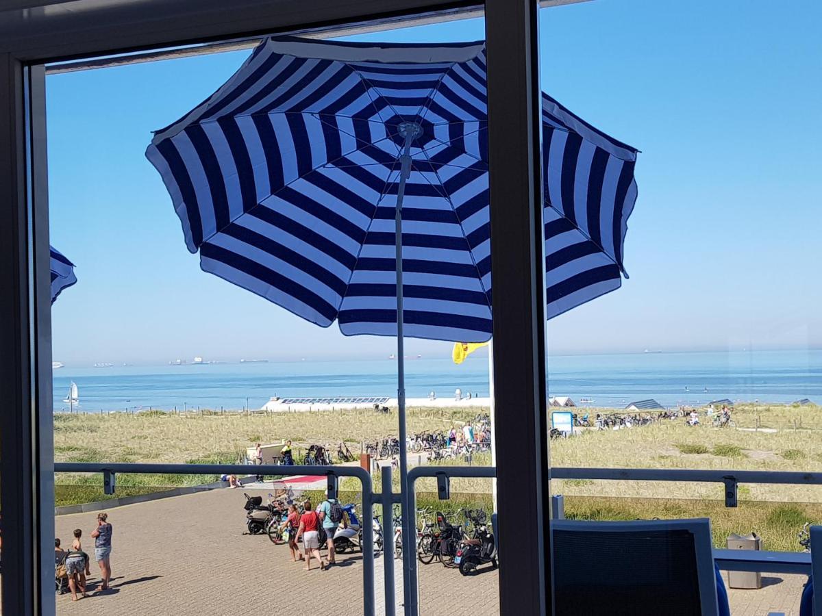 Seahorse * Katwijk aan Zee