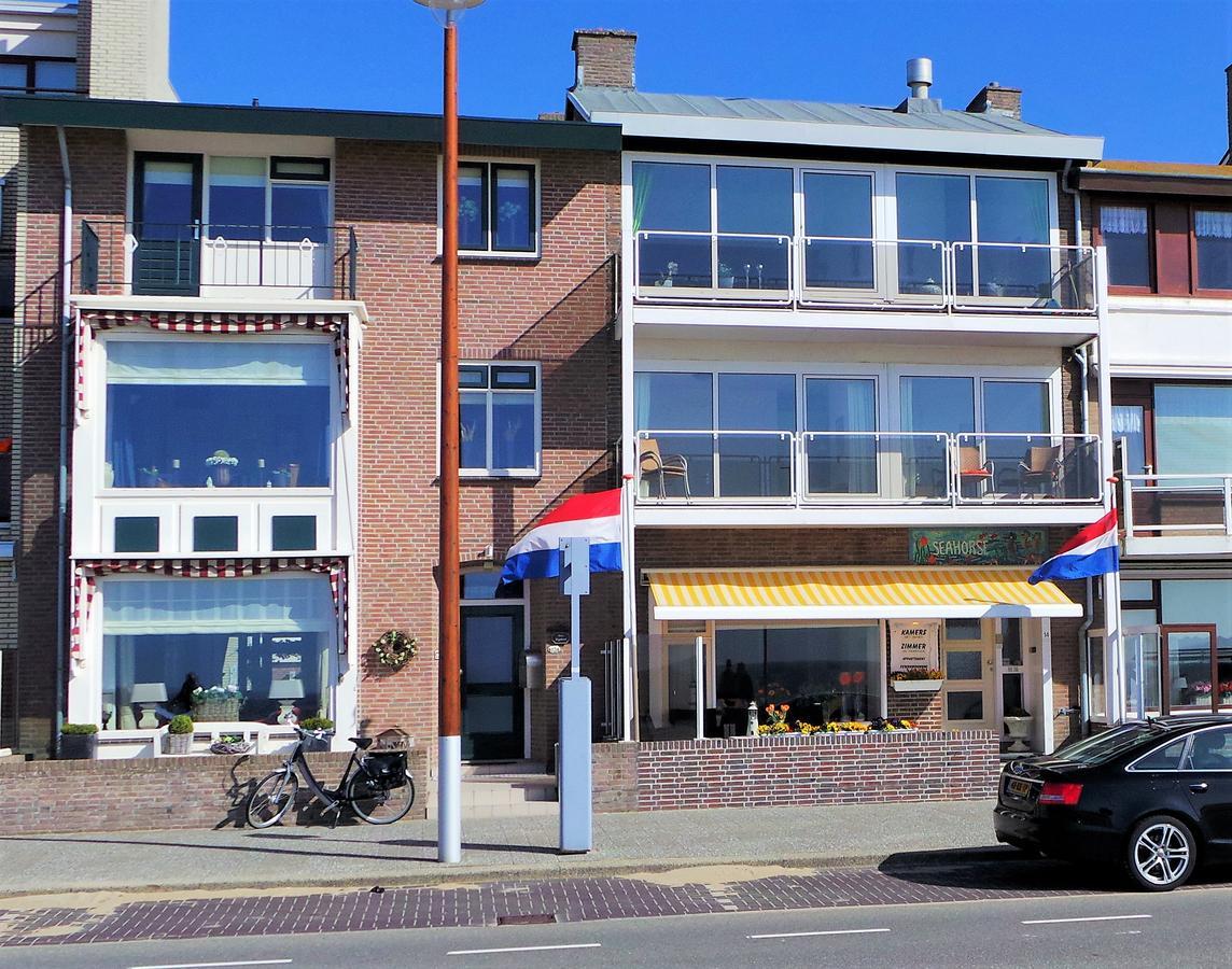 Seahorse * Katwijk aan Zee